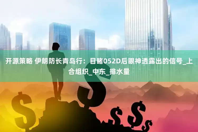 开源策略 伊朗防长青岛行：目睹052D后眼神透露出的信号_上合组织_中东_排水量