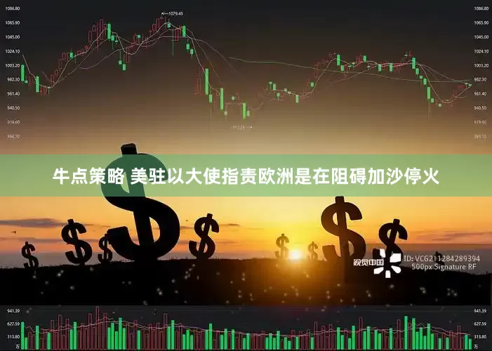 牛点策略 美驻以大使指责欧洲是在阻碍加沙停火
