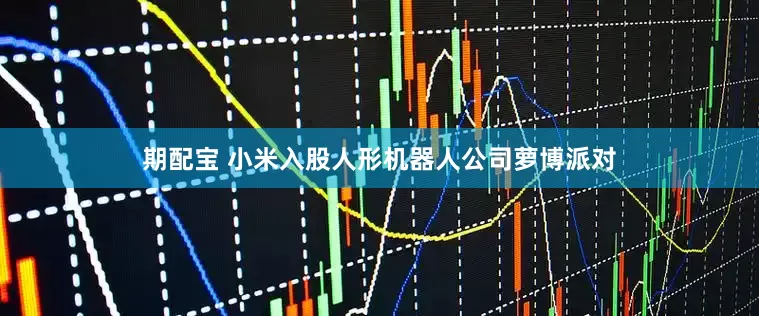 期配宝 小米入股人形机器人公司萝博派对